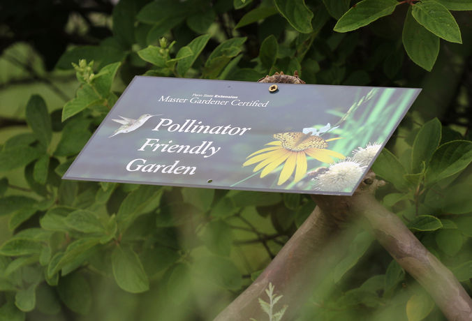 pollen friendly garden sign