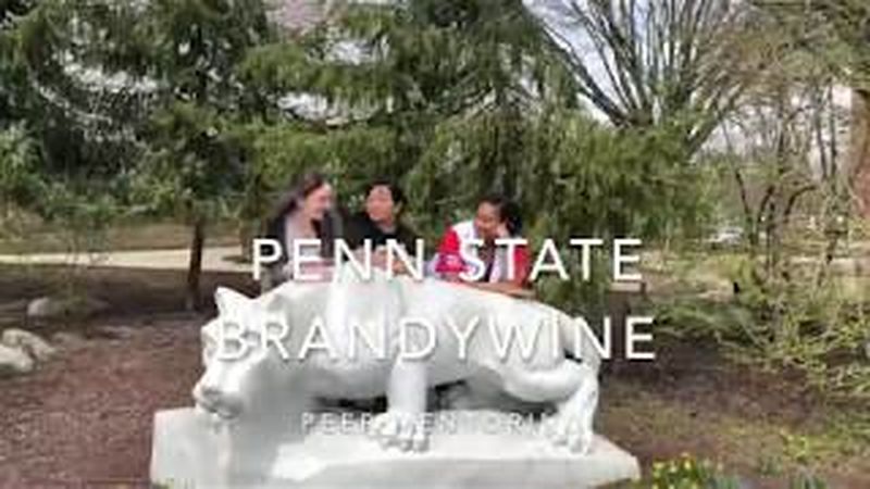 Peer Mentoring at Penn State Brandywine