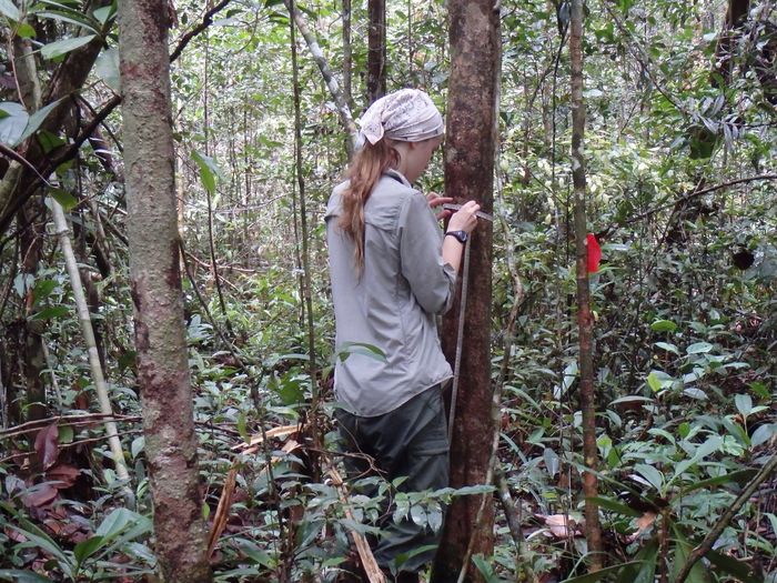 Penn State graduate Megan Draper in Borneo 