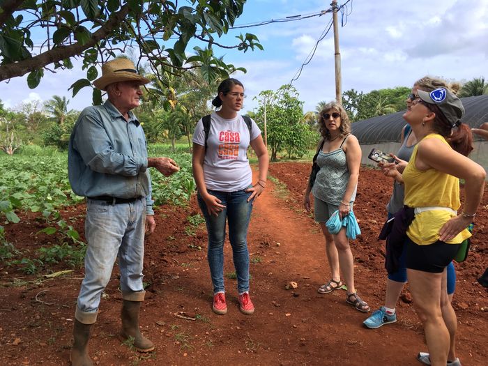 Penn State Brandywine Global Programs