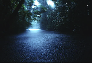 flooded creek