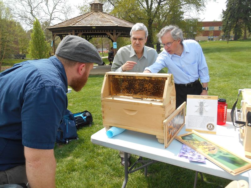 Two people looking at the bee's nest