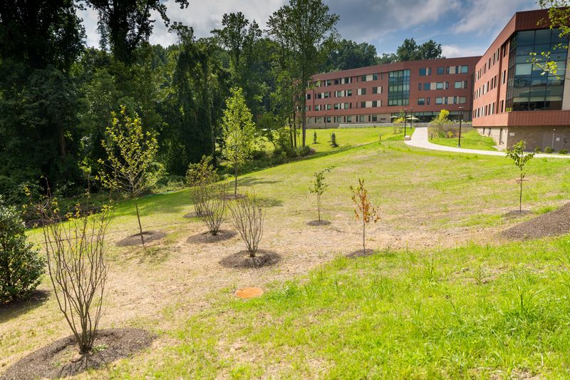 Orchard Hall Landscape at Penn State Brandywine