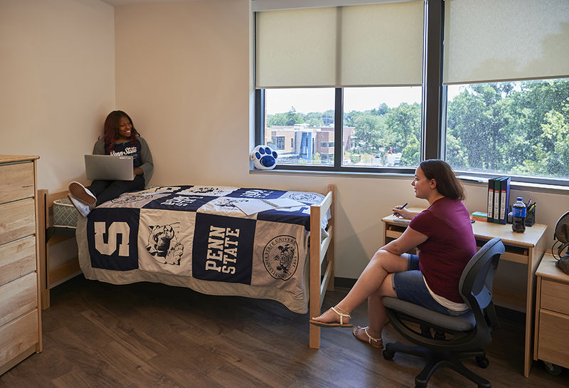 2 students studying in their room