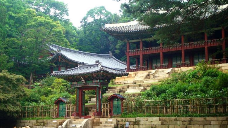 Temple surrounded by trees and bushes in South Korea