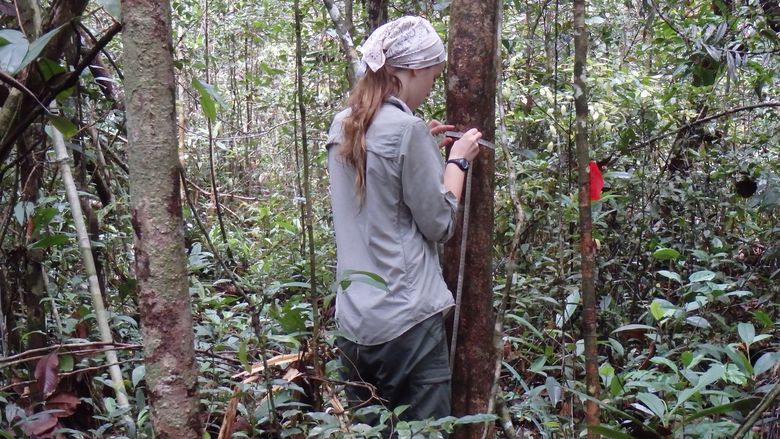 Penn State graduate Megan Draper in Borneo 