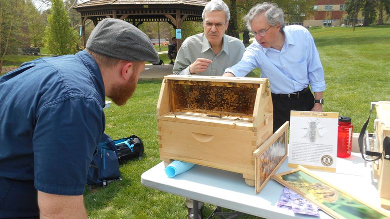 Two people looking at the bee's nest