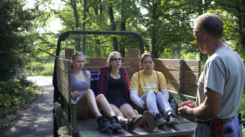 Students pulling weeds at Tyler Arboretum.