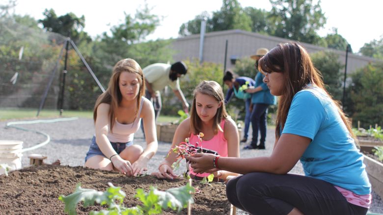 Students working in garden