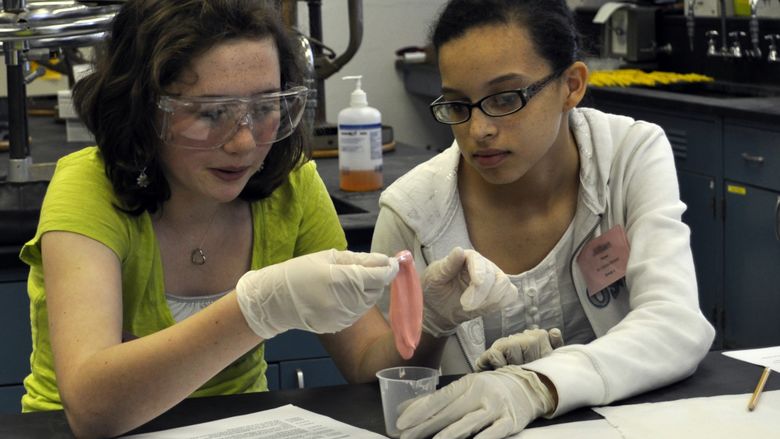 Two middle school girls take science class