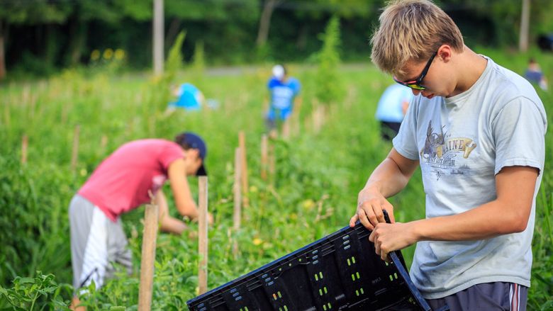 Penn State Brandywine community service