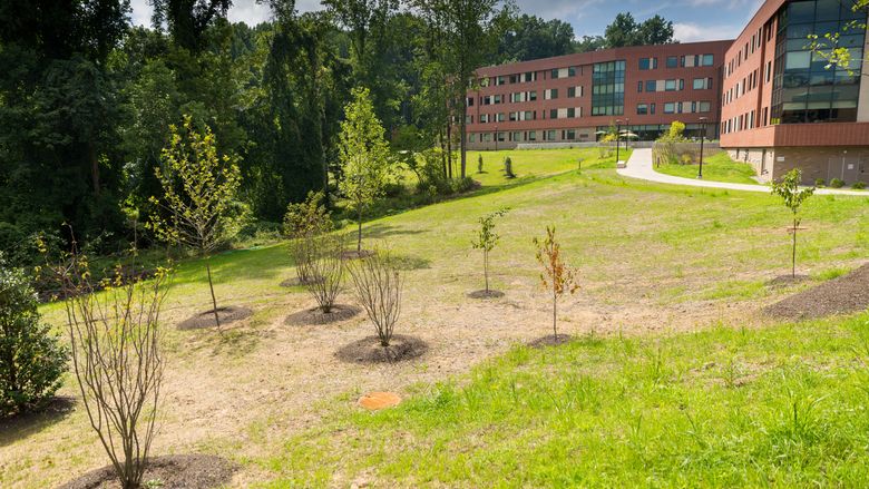 Orchard Hall Landscape at Penn State Brandywine