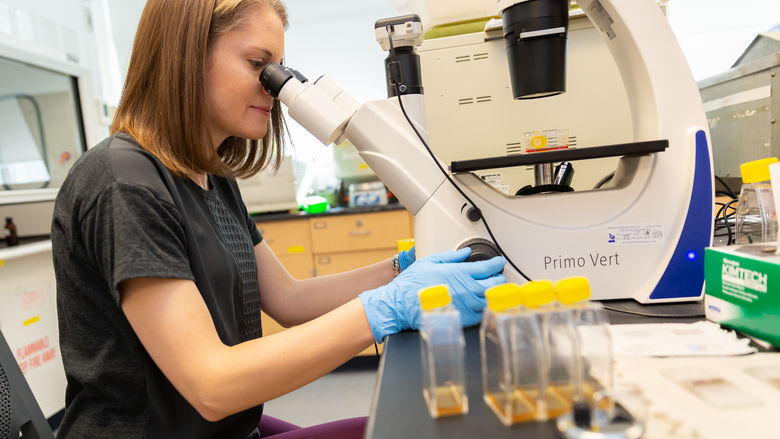 Megan Povelones working in the biology lab at Penn State Brandywine. 