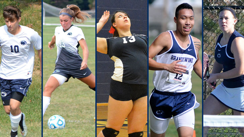 Penn State Brandywine Fall Sports