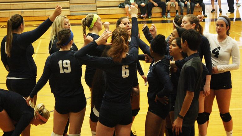 Penn State Brandywine volleyball