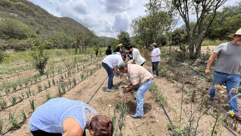 students in field