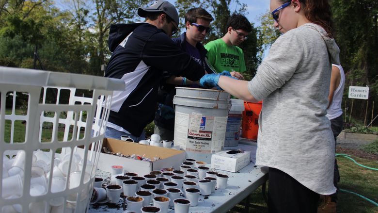 cleaning k-cups
