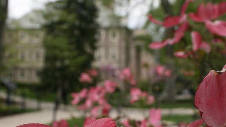 Old Main behind dogwood tree at Penn State