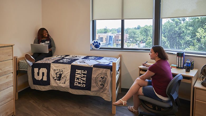 2 students studying in their room