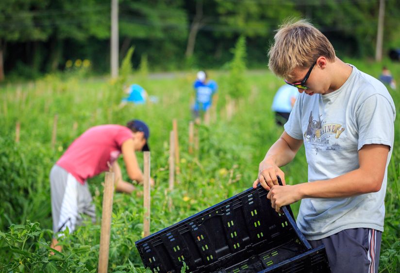 Penn State Brandywine community service