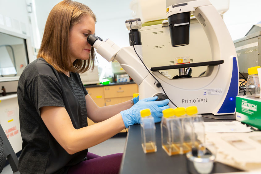 Megan Povelones working in the biology lab at Penn State Brandywine.