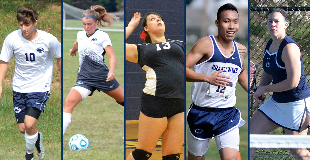 Penn State Brandywine Fall Sports