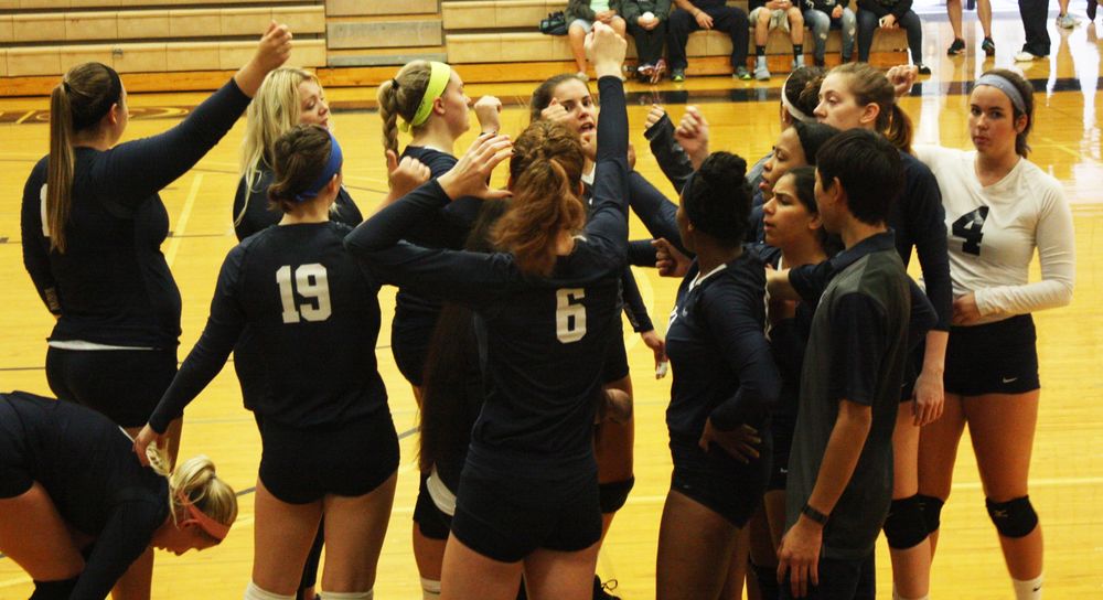 Penn State Brandywine volleyball