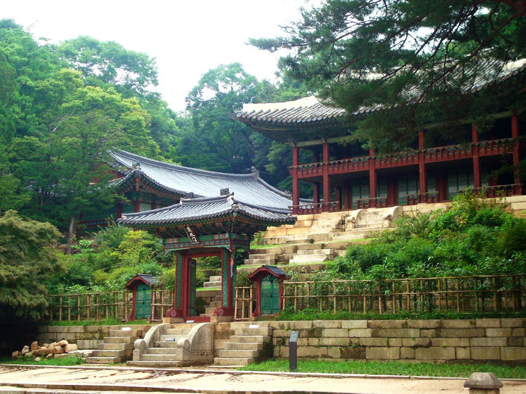 Temple surrounded by trees and bushes in South Korea