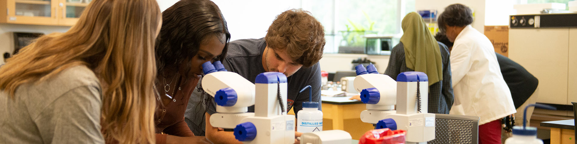 Students performing a lab in biology class